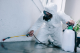 Critter-Free Living: Your Ultimate Guide to Pest Control in Oswego, IL!